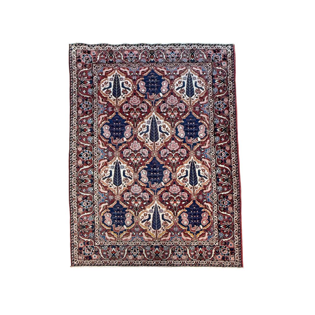 7459PaAn01.jpg